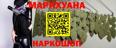 крисы Заводоуковск