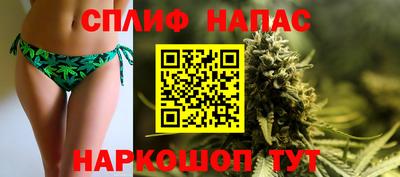 индика Заволжье