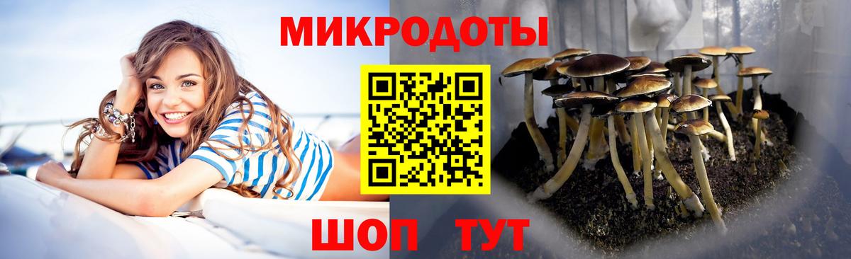 Псилоцибиновые грибы Psilocybine cubensis  Вход с VPN  Галлюциногенные грибы Cubensis  Кызыл 